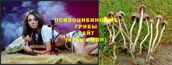 СК Балахна
