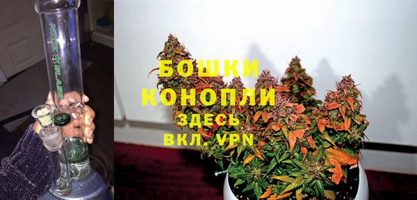 гидропоника Белокуриха