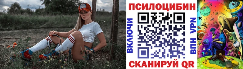 Псилоцибиновые грибы Psilocybine cubensis Касимов